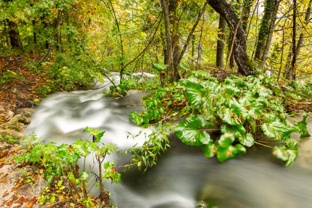 waterfall in deep forest in Plitvice national park-Croatiaの写真素材