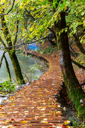 Rainy day and wooden tourist path in Plitvice lakes national park-Croatiaの写真素材