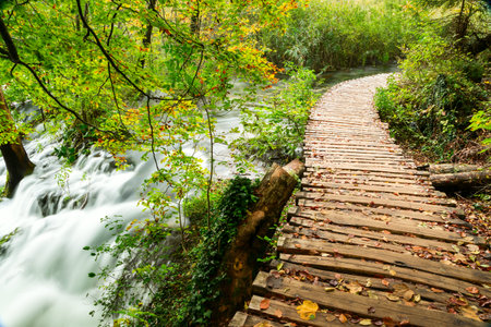 Rainy day and wooden tourist path in Plitvice lakes national park-Croatia