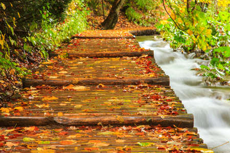 Rainy day and wooden tourist path in Plitvice lakes national park-Croatiaの写真素材