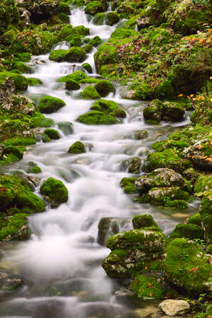 View of a beautiful autumn creek near Bohinj.Sloveniaの写真素材