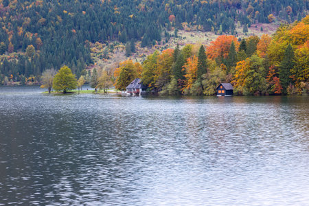 Beautiful autumn scenery at lake Bohinj, Triglav National Park, Julian Alps, Sloveniaの写真素材