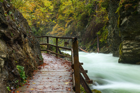 Vintgar gorge and wooden path near Bled, Slovenia.Europe