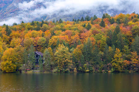 Beautiful autumn scenery at lake Bohinj, Triglav National Park, Julian Alps, Sloveniaの写真素材
