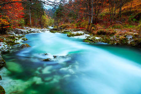 Canyon Mostnica near lake Bohinj in Slovenia (Mostnice Korita)の写真素材