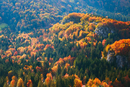 The mountain autumn landscape with colorful forest in Sloveniaの写真素材