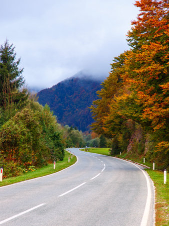 Road in the colorful autumnal mountains in Slovenia