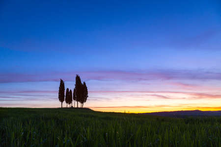 Summer in the fields of Tuscany in the sunrise-Italyの写真素材