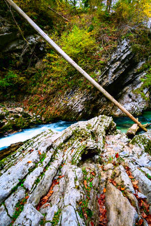 Beautiful famous Vintgar Gorge near Bled, Sloveniaの写真素材