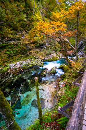 Beautiful famous Vintgar Gorge near Bled, Sloveniaの写真素材
