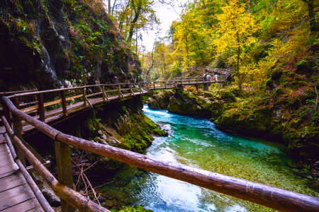 Beautiful famous Vintgar Gorge near Bled, Sloveniaの写真素材