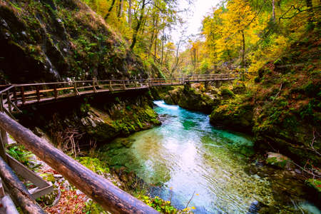 Beautiful famous Vintgar Gorge near Bled, Sloveniaの写真素材
