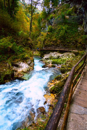 Beautiful famous Vintgar Gorge near Bled, Sloveniaの写真素材