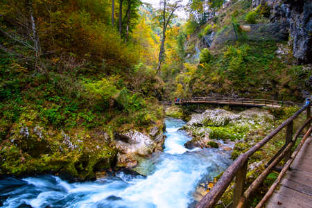 Beautiful famous Vintgar Gorge near Bled, Sloveniaの写真素材