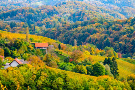 Beautiful autumn hillside landscape  in Slovenia close to the border with Austriaの写真素材