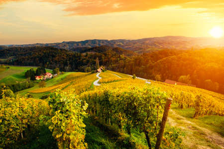 Famous Heart shaped wine road in autumn, view from Spicnik near Maribor in Slovenia.の写真素材