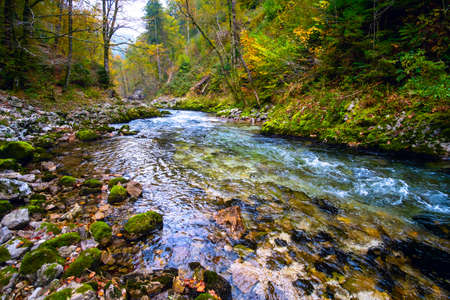 Beautiful famous Vintgar Gorge near Bled, Sloveniaの写真素材