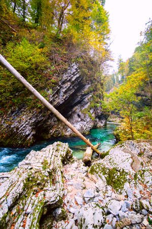 Beautiful famous Vintgar Gorge near Bled, Sloveniaの写真素材