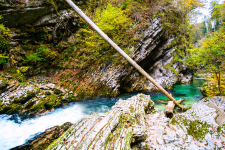 Beautiful famous Vintgar Gorge near Bled, Sloveniaの写真素材
