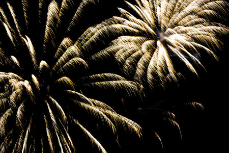 Festive celebration firework lights in the dark night sky