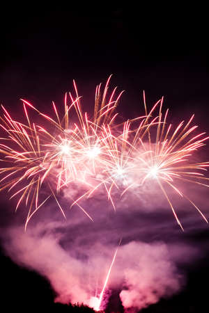 Festive celebration firework lights in the dark night skyの写真素材