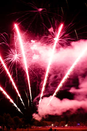 Festive celebration firework lights in the dark night skyの写真素材