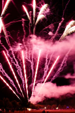Festive celebration firework lights in the dark night skyの写真素材