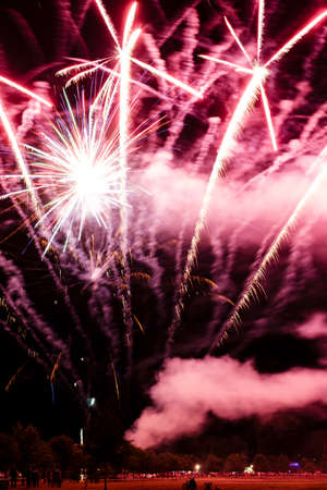 Festive celebration firework lights in the dark night skyの写真素材