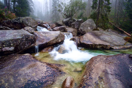 Cold stream in Great Cold Valley in the National Park High Tatra, Slovakiaの写真素材