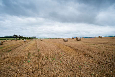 Hay bales on the field after harvest in Slovakiaの写真素材
