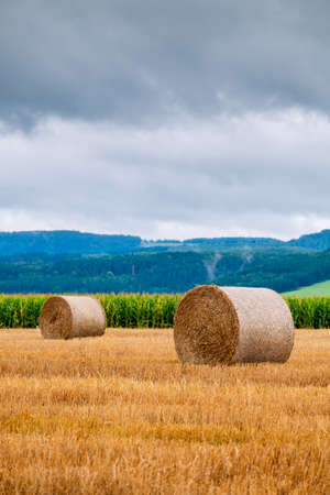 Hay bales on the field after harvest in Slovakiaの写真素材
