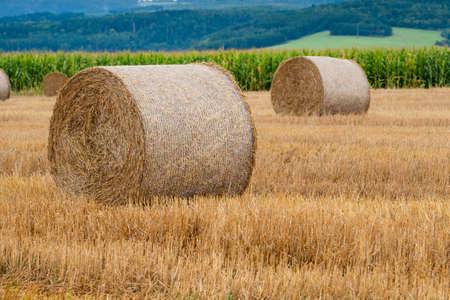 Hay bales on the field after harvest in Slovakiaの写真素材