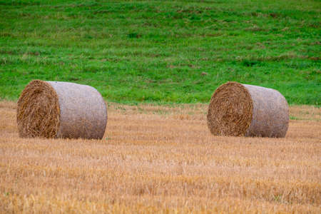 Hay bales on the field after harvest in Slovakiaの写真素材