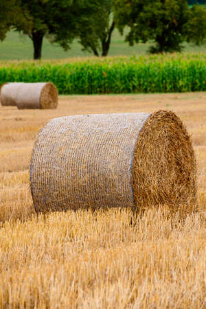 Hay bales on the field after harvest in Slovakiaの写真素材