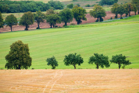 Green spring hills countryside in april of Slovakia.の写真素材
