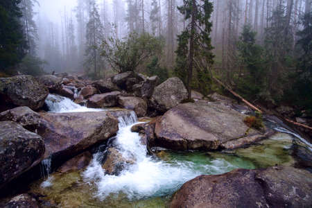 Cold stream in Great Cold Valley in the National Park High Tatra, Slovakiaの写真素材