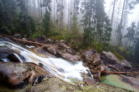 Cold stream in Great Cold Valley in the National Park High Tatra, Slovakiaの写真素材