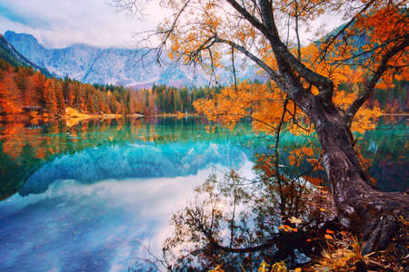 Autumn scenery at lake Fusine - Lago di Fusine-mountain lake in north Italy in the Alps.の写真素材