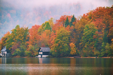 Beautiful autumn scenery at lake Bohinj, Triglav National Park, Julian Alps, Sloveniaの写真素材