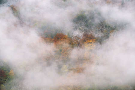 Landscape of misty autumn forest in mountain hills  in Sloveniaの写真素材