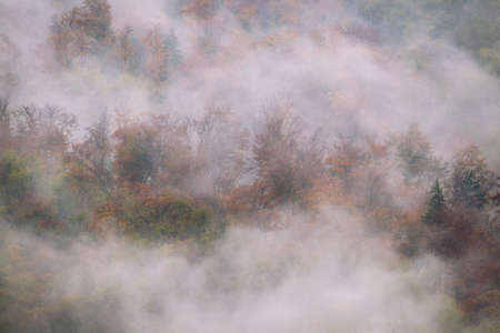 Landscape of misty autumn forest in mountain hills  in Sloveniaの写真素材