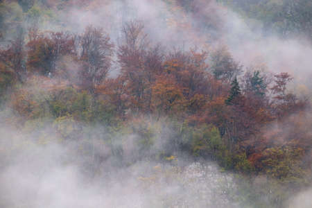 Landscape of misty autumn forest in mountain hills  in Sloveniaの写真素材