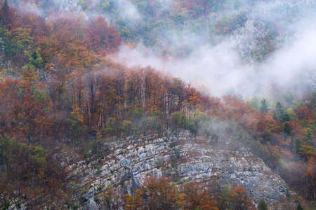 Landscape of misty autumn forest in mountain hills  in Sloveniaの写真素材
