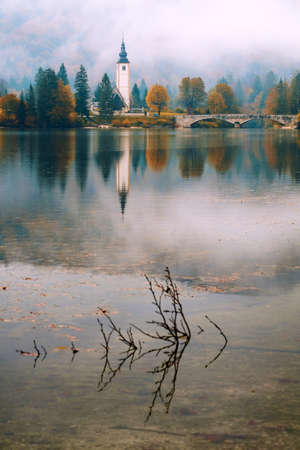 Foggy morning in autumn at Lake Bohinj In National Park Triglav, Sloveniaの写真素材