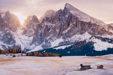 Beautiful autumn scenery in Alpe di Siusi or Seiser Alm with Sassolungo - Langkofel mountain group in background in Dolomite Alps, South Tyrol, Italy.の写真素材