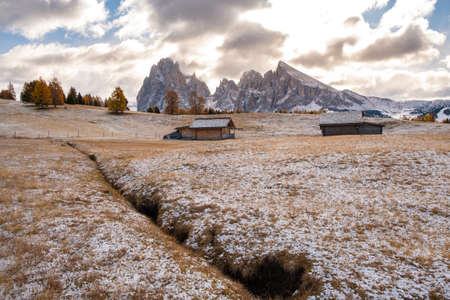 Beautiful autumn scenery in Alpe di Siusi or Seiser Alm with Sassolungo - Langkofel mountain group in background in Dolomite Alps, South Tyrol, Italy.の写真素材