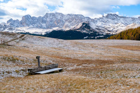 Beautiful autumn scenery in Alpe di Siusi or Seiser Alm with Sassolungo - Langkofel mountain group in background in Dolomite Alps, South Tyrol, Italy.の写真素材