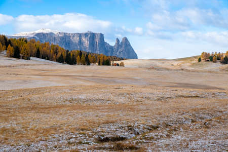 View on Schlern - Sciliar mountain and Seiser Alm - Alpe di Siusi in Dolomite Alps, South Tyrol, Italy.の写真素材