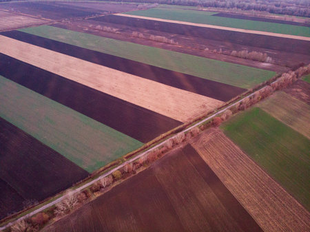 Aerial drone image view of plowed field in Hungary