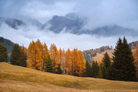 Autumn landscape at Seiser Alm in Dolomites, Italyの写真素材